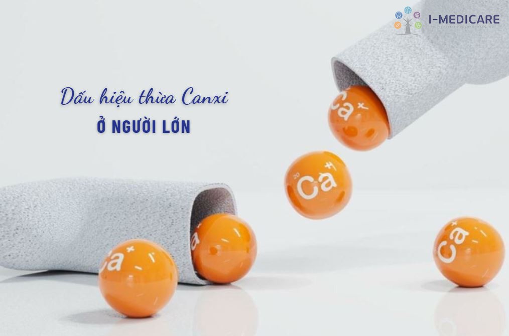 Dấu hiệu thừa canxi ở người lớn: Nhận biết sớm để xử lý kịp thời Dấu hiệu thừa canxi ở người lớn: Nhận biết sớm để xử lý kịp thời